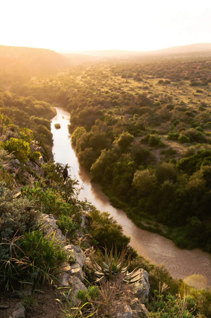 A winding river flows through a lush valley at sunset.