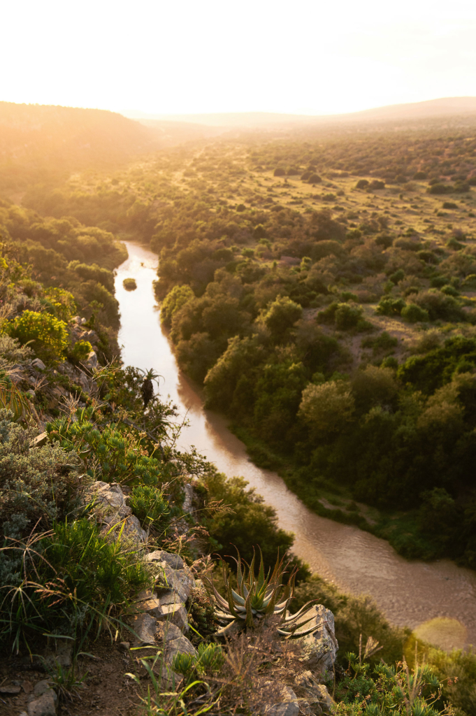 A river flows through a lush valley at sunset.
