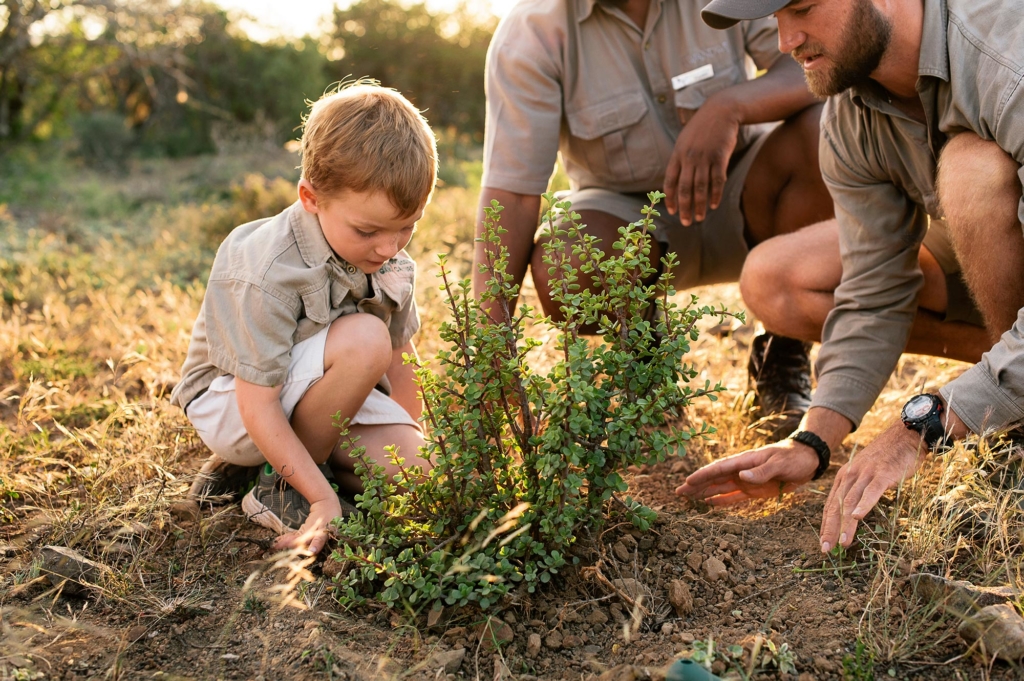 A child and two adults are planting a small bush in a field.